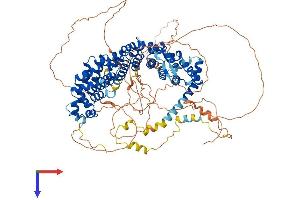 AlphaFold protein structure predicition of Mouse Recombinant Ppp6r2 Protein, UniprotID Q8R3Q2