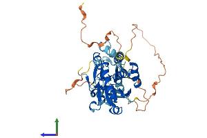AlphaFold protein structure predicition of Human Recombinant DUSP9 Protein, UniprotID Q99956