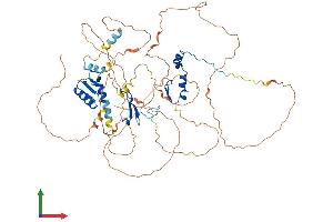 AlphaFold protein structure predicition of Mouse Recombinant Dbf4 Protein, UniprotID Q9QZ41