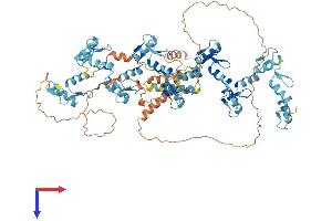 AlphaFold protein structure predicition of Human Recombinant ZNF227 Protein, UniprotID Q86WZ6