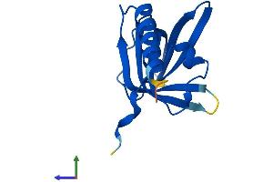 AlphaFold protein structure predicition of Human Recombinant TEN1 Protein, UniprotID Q86WV5