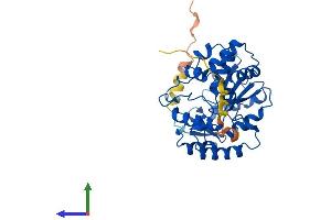 AlphaFold protein structure predicition of Mouse Recombinant Sult2b1 Protein, UniprotID O35400
