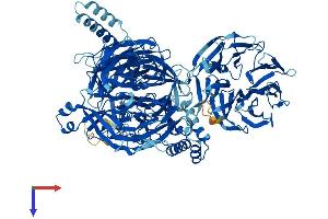 AlphaFold protein structure predicition of Mouse Recombinant Sf3b3 Protein, UniprotID Q921M3