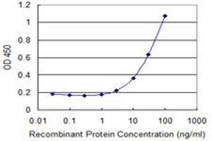 Detection limit for recombinant GST tagged ZNF266 is 1 ng/ml as a capture antibody. (ZNF266 anticorps  (AA 274-346))