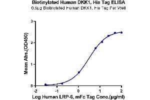 Immobilized Biotinylated Human DKK1, His Tag at 5 μg/mL (100 μL/well) on the streptavidin precoated plate (5 μg/mL).