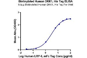 Immobilized Biotinylated Human DKK1, His Tag at 5 μg/mL (100 μL/well) on the streptavidin precoated plate (5 μg/mL). (DKK1 Protein (AA 32-266) (His-Avi Tag,Biotin))