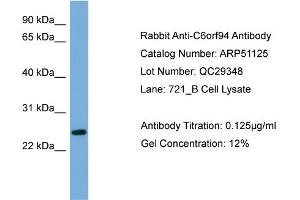 WB Suggested Anti-C6orf94  Antibody Titration: 0. (FAM164B anticorps  (N-Term))
