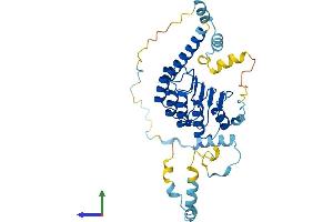 AlphaFold protein structure predicition of Human Recombinant TMOD3 Protein, UniprotID Q9NYL9