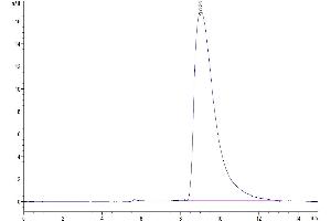 The purity of Human SLAMF6 is greater than 95 % as determined by SEC-HPLC.