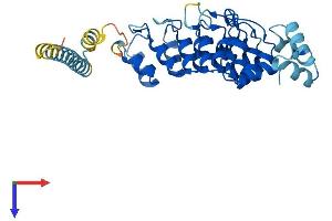 AlphaFold protein structure predicition of Human Recombinant ASB11 Protein, UniprotID Q8WXH4