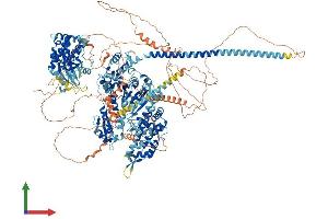 AlphaFold protein structure predicition of Human Recombinant MYO3A Protein, UniprotID Q8NEV4