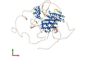 AlphaFold protein structure predicition of Mouse Recombinant Rfx1 Protein, UniprotID P48377