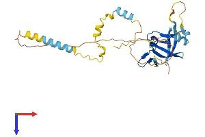 AlphaFold protein structure predicition of Human Recombinant NRIP2 Protein, UniprotID Q9BQI9