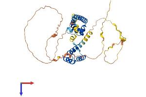 AlphaFold protein structure predicition of Mouse Recombinant Pou5f1 Protein, UniprotID P20263