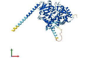 AlphaFold protein structure predicition of Human Recombinant CYP4V2 Protein, UniprotID Q6ZWL3