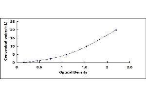 Angiotensin I Converting Enzyme (Peptidyl-Dipeptidase A) 1 (ACE) ELISA Kit