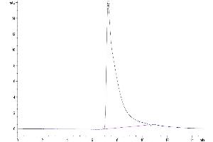 The purity of Biotinylated Human CD4 is greater than 95 % as determined by SEC-HPLC.