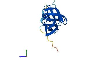 AlphaFold protein structure predicition of Human Recombinant YPEL2 Protein, UniprotID Q96QA6
