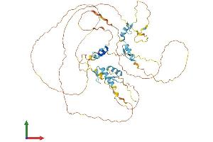 AlphaFold protein structure predicition of Human Recombinant INSM2 Protein, UniprotID Q96T92