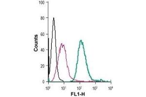 Cell surface detection of GPR91 in live intact mouse J774 macrophage cells: (black line) Cells. (SUCNR1 anticorps  (Extracellular) (FITC))