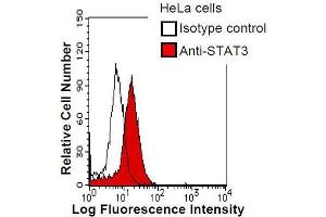 HeLa cells were fixed in 2% paraformaldehyde/PBS and then permeabilized in 90% methanol. (STAT3 anticorps)