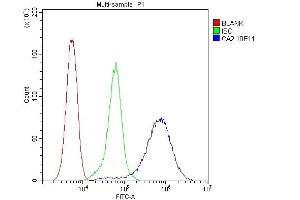 Flow Cytometry analysis of 293T cells using anti-CA2 antibody (ABIN6719533). (CA2 anticorps  (AA 2-260))