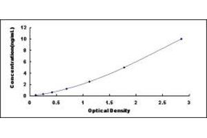 Typical standard curve (CAMK2A Kit ELISA)