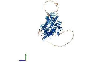 AlphaFold protein structure predicition of Human Recombinant LBR Protein, UniprotID Q14739