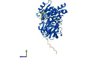 AlphaFold protein structure predicition of Mouse Recombinant Clp1 Protein, UniprotID Q99LI9