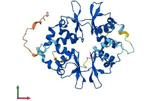 AlphaFold protein structure predicition of Mouse Recombinant Prkag1 Protein, UniprotID O54950
