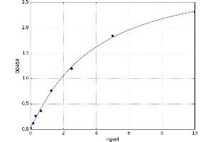 GDNF Family Receptor alpha 1 (GFRA1) ELISA Kit