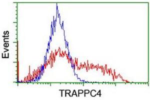 Image no. 4 for anti-Trafficking Protein Particle Complex 4 (TRAPPC4) antibody (ABIN1501265)