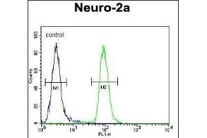 anti-Cirrhosis, Autosomal Recessive 1A (Cirhin) (CIRH1A) (AA 116-143), (N-Term) antibody