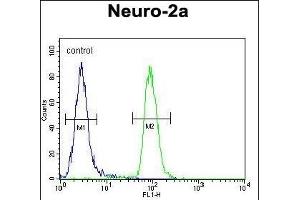 CIRH1A Antibody (N-term) (ABIN653909 and ABIN2843146) flow cytometric analysis of Neuro-2a cells (right histogram) compared to a negative control cell (left histogram). (CIRH1A anticorps  (N-Term))