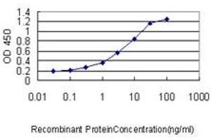 Detection limit for recombinant GST tagged E2F6 is approximately 0.