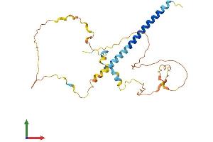 AlphaFold protein structure predicition of Mouse Recombinant Prr7 Protein, UniprotID Q3V0I2