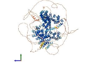 AlphaFold protein structure predicition of Human Recombinant CLASP1 Protein, UniprotID Q7Z460