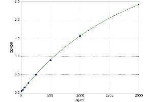 Actin, gamma 1 (ACTG1) ELISA Kit