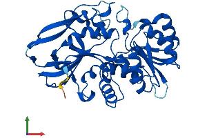 AlphaFold protein structure predicition of Human Recombinant PTGR2 Protein, UniprotID Q8N8N7