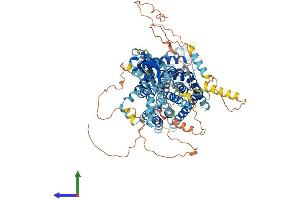 AlphaFold protein structure predicition of Mouse Recombinant Clcn2 Protein, UniprotID Q9R0A1