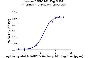 Immobilized Human DPPIV, hFc Tag at 1 μg/mL (100 μL/well) on the plate. (DPP4 Protein (Fc Tag))