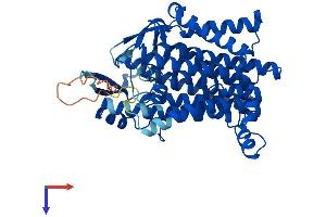 AlphaFold protein structure predicition of Mouse Recombinant Dhcr7 Protein, UniprotID O88455