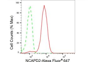 Flow cytometric analysis of NCAPD2 expression in HepG2 cells using NCAPD2 antibody (ABIN7800957), 1:2,000). (Recombinant NCAPD2 anticorps)
