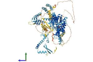 AlphaFold protein structure predicition of Mouse Recombinant Sin3b Protein, UniprotID Q62141