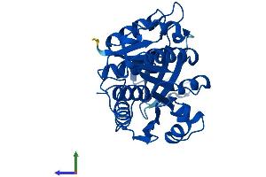 AlphaFold protein structure predicition of Human Recombinant KHK Protein, UniprotID P50053
