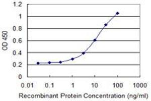 Detection limit for recombinant GST tagged TRNT1 is 0. (Trnt1 anticorps  (AA 1-405))