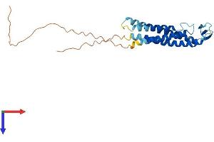 AlphaFold protein structure predicition of Human Recombinant SSPN Protein, UniprotID Q14714