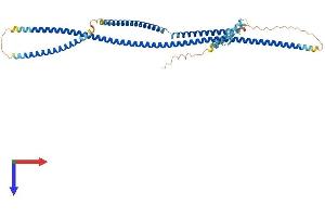 AlphaFold protein structure predicition of Human Recombinant CEP55 Protein, UniprotID Q53EZ4