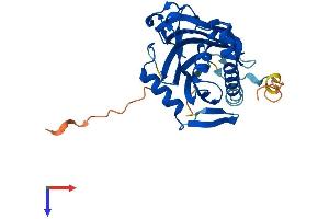 AlphaFold protein structure predicition of Mouse Recombinant Stard10 Protein, UniprotID Q9JMD3