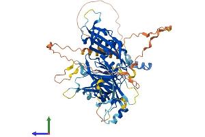 AlphaFold protein structure predicition of Human Recombinant DCAF15 Protein, UniprotID Q66K64